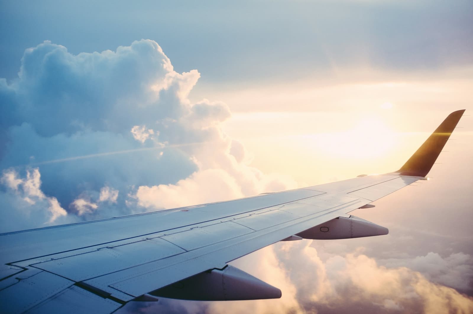 Aircraft seen from above in flight